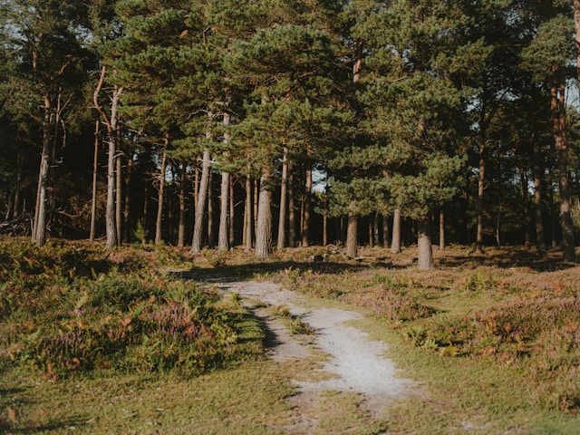 Outdoor equipment showcase